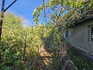 Casa cu teren Conduratu la 4 km de Mizil - imagine 4