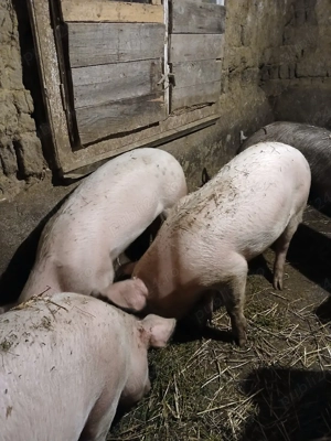 de vanzare - imagine 5