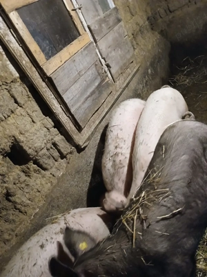 de vanzare - imagine 2