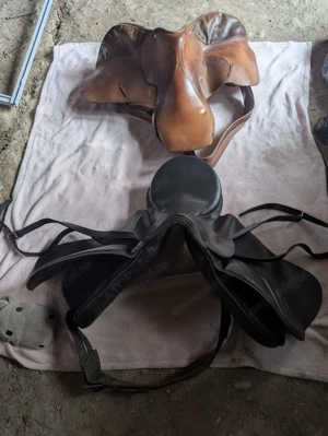 Sele de cai aduse din străinătate.