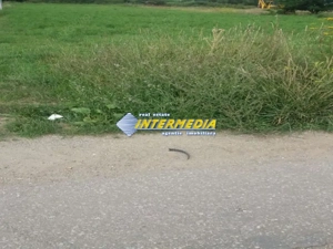 Teren Intravilan Vanzare 3165 mp deschidere 17,5 m Alba - CETATE Stadion - imagine 1