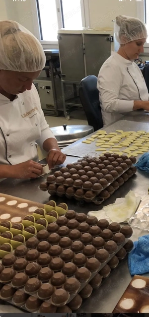 Locuri de muncă în Elveția și Germania  - imagine 3