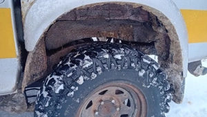 l200 animal - imagine 5