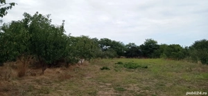 Teren+casa Topraisar 3200mp - imagine 2