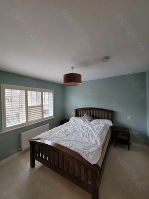 zugrav vopsitor - imagine 5