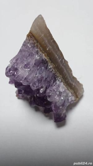 Drusă de Ametist natural pe matrice   piesă de colecție