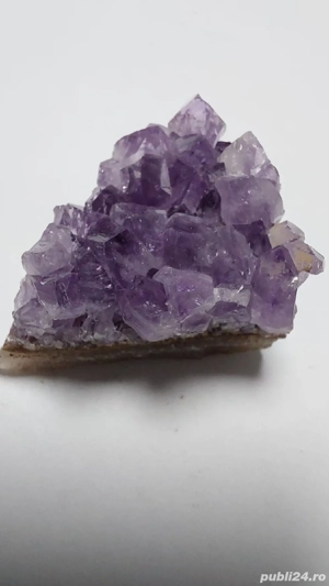 Drusă de Ametist natural pe matrice   piesă de colecție