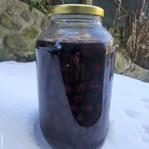 Compot de vișine 5l