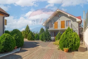 Casă / Vilă cu 16 camere de vânzare Sanmartin/Stefan cel Mare - imagine 4