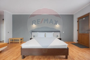 Casă / Vilă cu 16 camere de vânzare Sanmartin/Stefan cel Mare - imagine 12