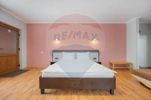 Casă / Vilă cu 16 camere de vânzare Sanmartin/Stefan cel Mare - imagine 11