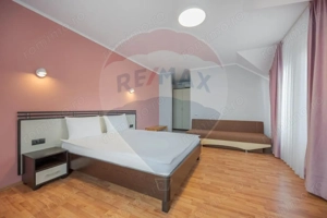 Casă / Vilă cu 16 camere de vânzare Sanmartin/Stefan cel Mare - imagine 9