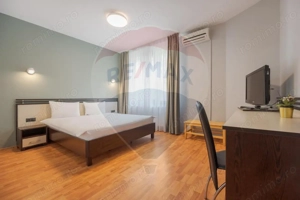 Casă / Vilă cu 16 camere de vânzare Sanmartin/Stefan cel Mare - imagine 10