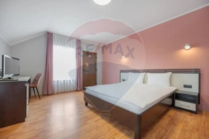 Casă / Vilă cu 16 camere de vânzare Sanmartin/Stefan cel Mare - imagine 7