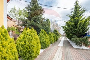 Casă / Vilă cu 16 camere de vânzare Sanmartin/Stefan cel Mare - imagine 2