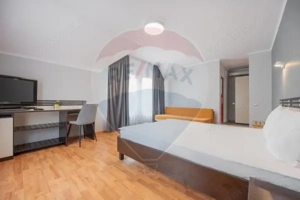 Casă / Vilă cu 16 camere de vânzare Sanmartin/Stefan cel Mare - imagine 14