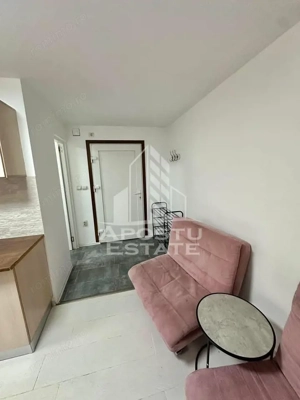 Apartament cu 1 camera, centrala propie, zona Lipovei - imagine 3