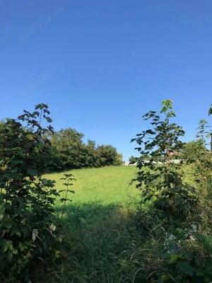 Teren intravilan pretabil construcții , parcelare.. - imagine 2