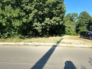 Teren 5.000 mp la asfalt   Moșoaia, Dealul Viilor   zonă cu case   investiție sigură