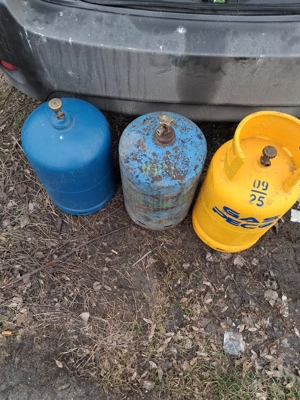   1galbenă plină 2 albastre 60 lei 