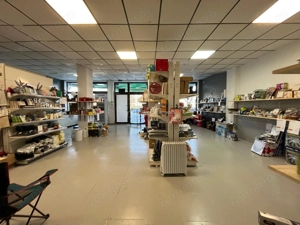 Lugoj, De Inchiriat – Spatiu Comercial, 194 Mp,  Zona Strand - imagine 15