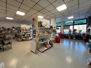Lugoj, De Inchiriat – Spatiu Comercial, 194 Mp,  Zona Strand - imagine 12