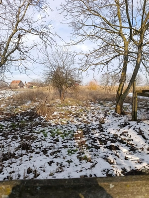 Vând casă cu 3 camere și teren mare în Diosig,  - imagine 4