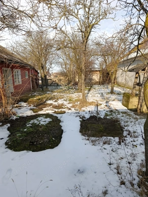 Vând casă cu 3 camere și teren mare în Diosig,  - imagine 3