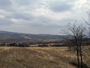 Vând Teren Dănulești, Jud. Buzău 9700 mp - imagine 2