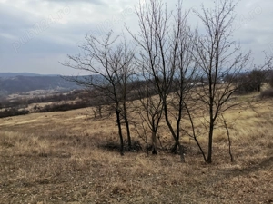 Vând Teren Dănulești, Jud. Buzău 9700 mp - imagine 3