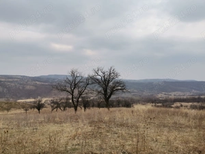 Vând Teren Dănulești, Jud. Buzău 9700 mp - imagine 4