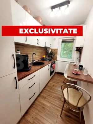 Apartament 1 camere, complet renovat, zona Aem