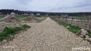 Vand parcele a cate 500 de m2 in localitatea Alparea, comuna Osorhei - imagine 3