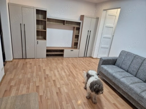 Inchiriere 2 camere Berceni,Piata Progresu - imagine 4