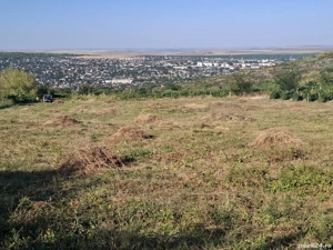 Vand teren extravilan ,oferta foarte bună !5000 mp! - imagine 2