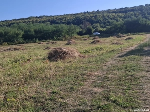 Vand teren extravilan ,oferta foarte bună !5000 mp! - imagine 3