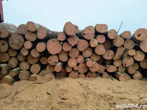 vand lemne de foc esenta tare 240 transport cu tot 