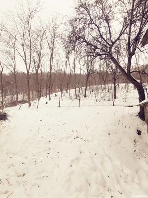 De vânzare in saratel  - imagine 5