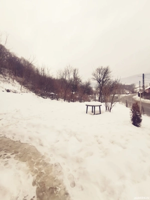 De vânzare in saratel  - imagine 3