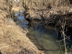 Teren în Borșa intravilan si extravilan  - imagine 3