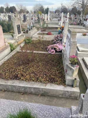 Cedez mormant Cimitir Eternitatea