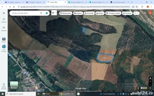 teren agricol 22500 mp zona obedin(breasta)  15000 euro