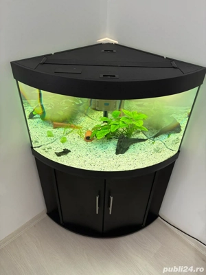 Vand Acvariu de 190 Litri Juwel Complect - imagine 4