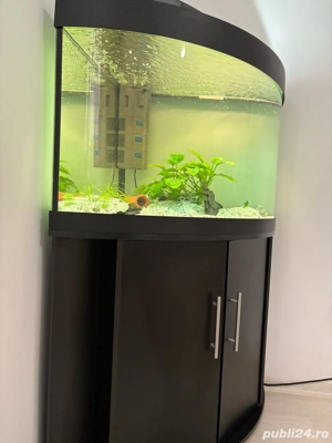 Vand Acvariu de 190 Litri Juwel Complect - imagine 2
