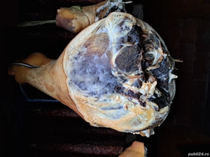 Vand sunca afumata - imagine 2