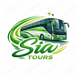 Sofer microbuz categoria D