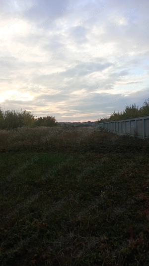 Teren de vânzare - Paleu, suprafață 2200 mp