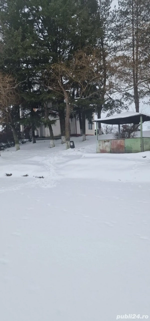 Imobil, cabana cu lac