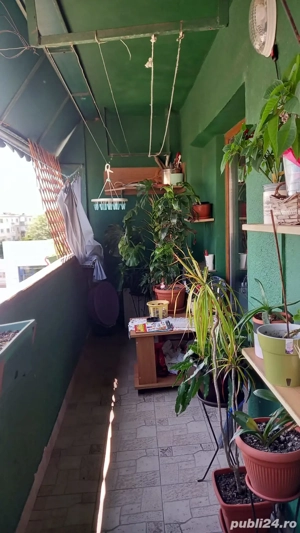 APARTAMENT  ( an 1986)  Mihai Bravu, stradal - imagine 9