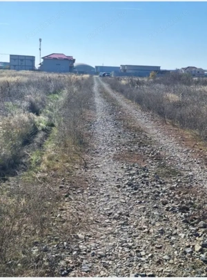 Teren intravilan 1000 mp – Magnolia